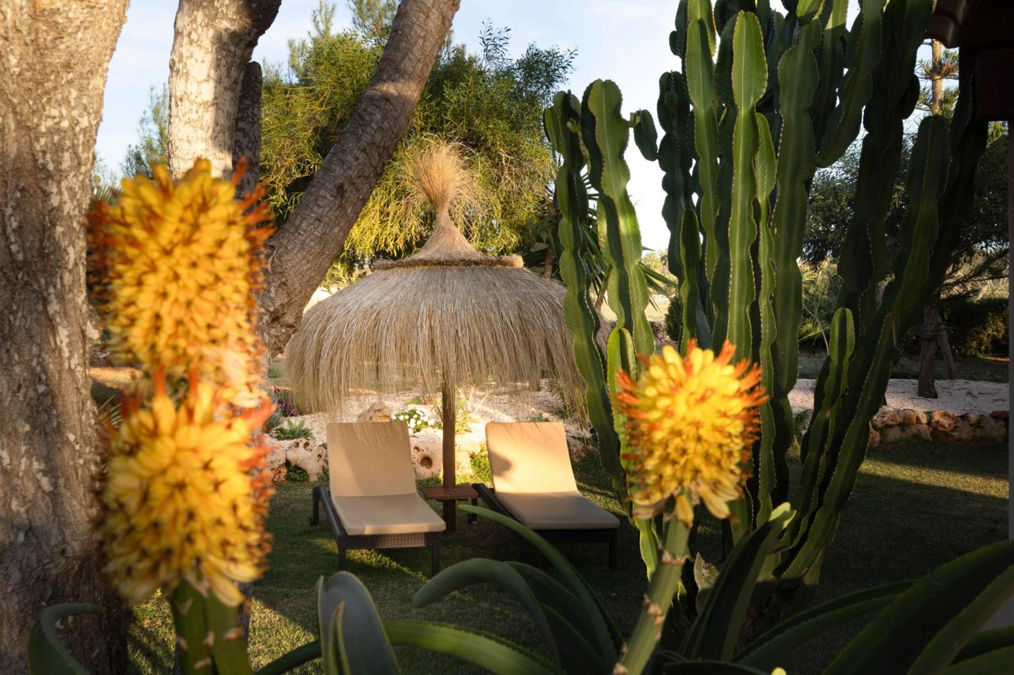 Agroturismo Finca Sa Tanca Cala d'Or  Luaran gambar