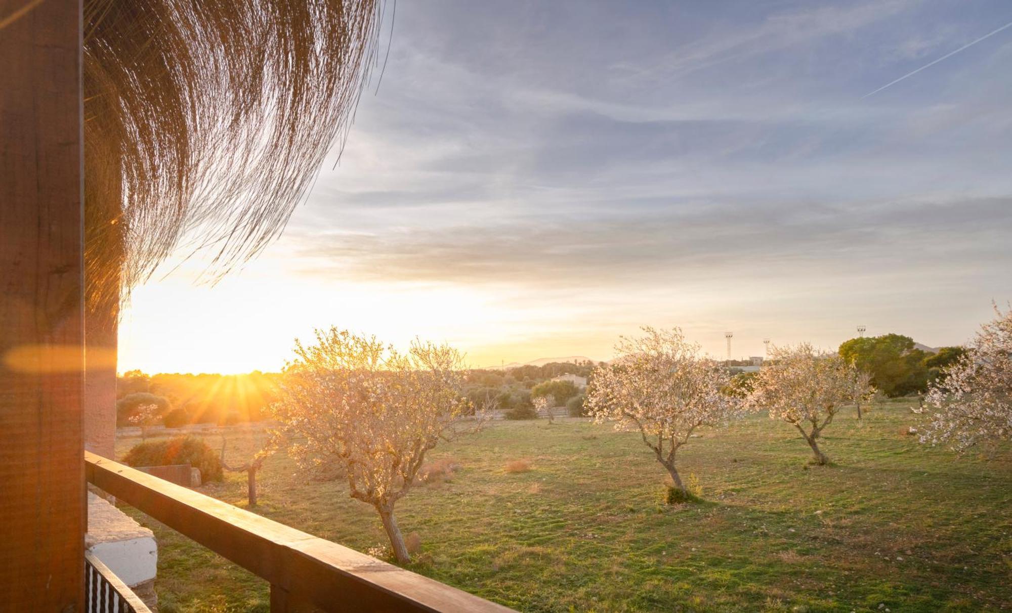 Agroturismo Finca Sa Tanca Cala d'Or  Luaran gambar
